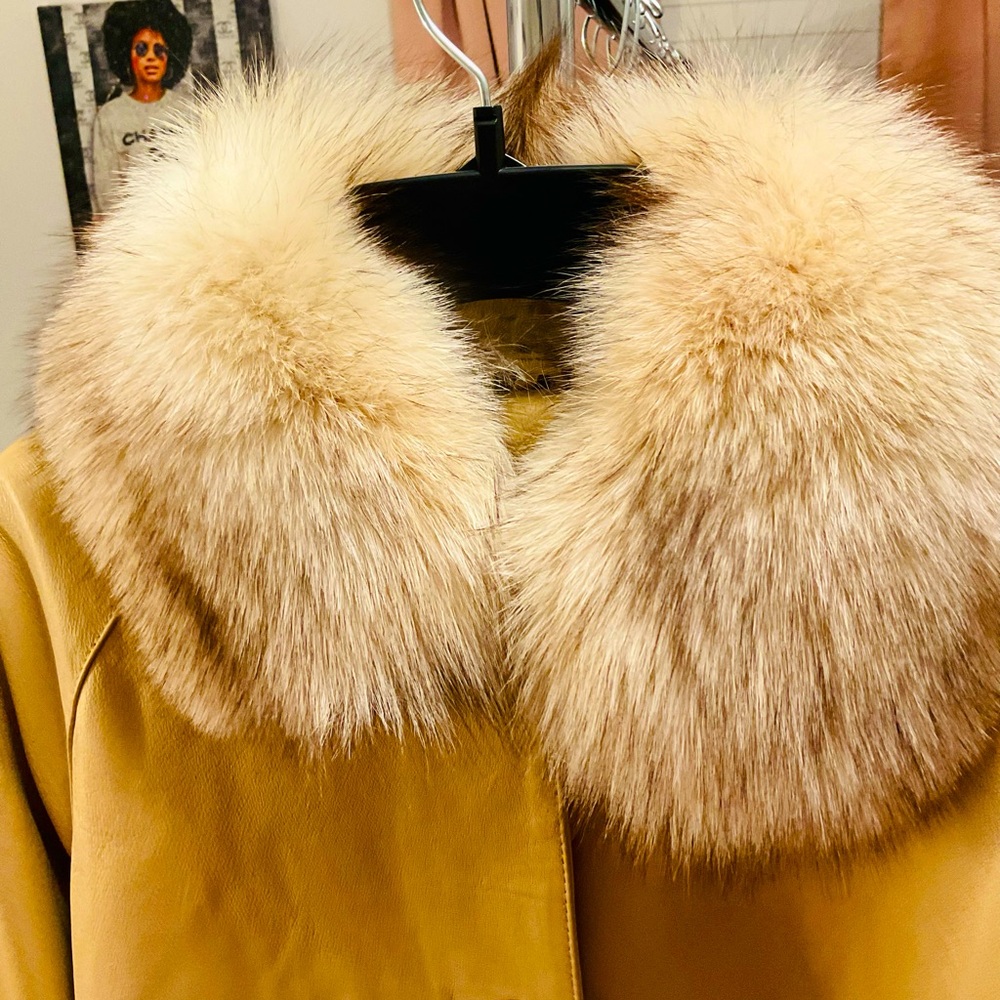 Banana Cream Leather swing with a Cream FOX Collar.